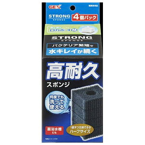 WFbNX J{[CM XgOX|W 4pbN | ANAE X|W GEX J{[C XgOX|W ϋv h oNeA ėp   pi WFbNX h J