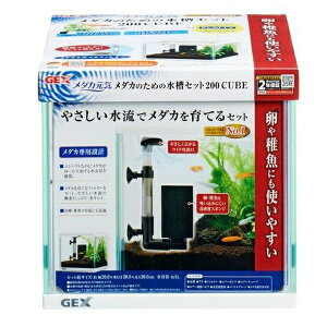 WFbNX _JC _Ĵ߂̐Zbg200CUBE