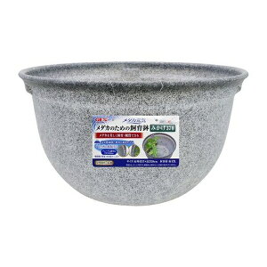 WFbNX _JC_Ĵ߂̎甫݂370