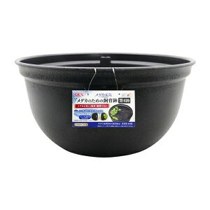 WFbNX _JC_Ĵ߂̎甫420