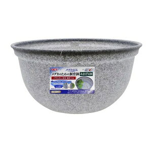 WFbNX _JC_Ĵ߂̎甫݂420