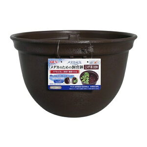 WFbNX _JC_Ĵ߂̎甫320