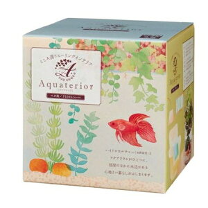  ANAeAP150S(V[g) | ANAeA  x^p k͔| CeA ʊϏ nChJ`[ KX  Ȑ ^ eiXȒP GR