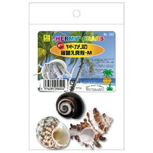 ���O�W���� �I�J���h�J���̏h�ւ��L���� M | �I�J���h�J�� �h�ւ��L�k ���L �V�R�L�k ����p�i �I�J���h�J���p�i �y�b�g�p�L�k �P�[�X�p�I�u�W�F �G�T���� �L�k M�T�C�Y �I�J���h�J���D�� �L