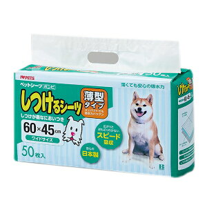 {rAR V[c^ChTCY 50 | ybgV[c ybgV[g V[c {rAR ^V[c ChV[c z V[g gC pybgV[