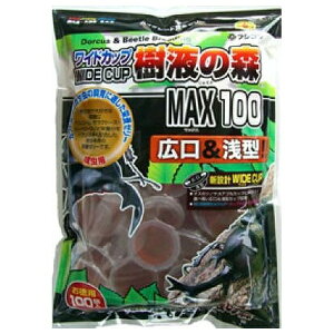 tWR ChJbvt̐X 100P