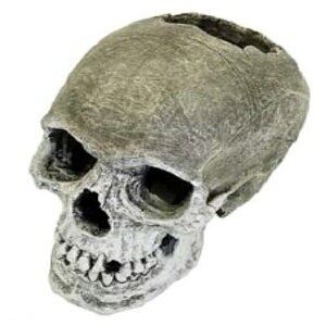 ���y�b�g���C�u�����[ aquaneru �A�N�A���E���I�[�i�����g ���W�� | �Ϗ܋� �A�N�A���E���I�[�i�����g �y�b�g���C�u�����[ ���W�� ���� �I�u�W�F ����� �A�N�Z�T���[ �������C�A�E�g �B��