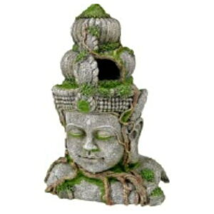 ybgCu[ aquaneru ANAEI[ig ^C̐Α