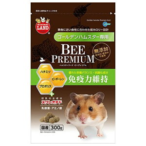 }J nX^[t[hr[v~AS[f | nX^[t[h S[f 300g nX^[t[h r[v~A nX^[p a v~At[h J[ Y n`~