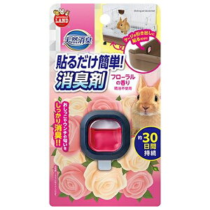 }J VRL\邾ȒPL܃t[̍ | L  L t[ \^Cv  qpi gC P[W L 30 p  ʂ 