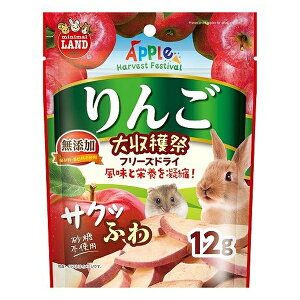 }J 񂲑n TNӂt[YhC 12g |  t[YhC }J   bg nX^[ hCt[c GT ybgt[h ʕ ь a 