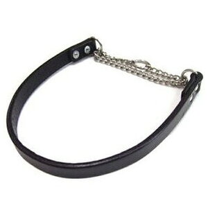 쐻쏊 U[`[N#50 | U[`[N 쐻쏊 n[t`[N p ^ `[NJ[ XeX v p[h ybgpi pi Xg[g`[N 