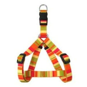 쐻쏊 C{[n[lX #15 IW | ybg  n[lX ^  ^b` o U iC 킢 C{[ {[_[  IV  ̏d1