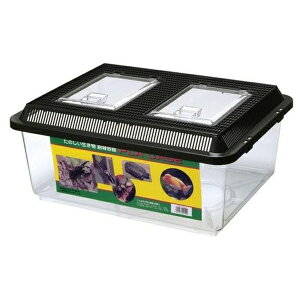 ~^j vP[XLL tbg Xbgt^ | vP[X e     vX`bNP[X  tbg   ঒   UKj  ANAE 