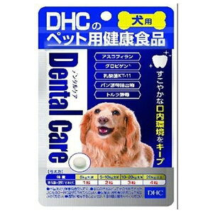 fB[GC`V[ f^PA 60 | pTvg  f^PA DHC f^Tv pNHi N⏕Hi ̌N _ pi Tvg ybgTvg YT