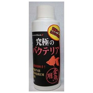 B-blast ɂ̃oNeA p 120ml | p oNeA p oNeA pY  LoNeA oNeA ̏ ybgpoNeA グ Ǘ 