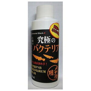 B-blast ɂ̃oNeA _Jp 120ml | oNeA_J oNeA a a _J  pi hߊ  L  oNeA  p_J _J oNe