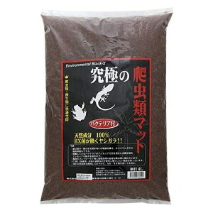 B-blast ɂ঒ރ}bg ז 4L