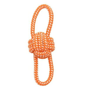 [N [v mbeB[ {[2 | p ybg [v f^PA {[ p{[    XgX   [v󂨂 