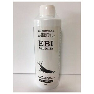 hbOC[ GrpoNeA 250~ | Gr oNeA ANAE  Grp oNeA 琅 {Y Gr oNeA Y pi a    