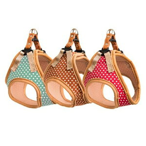 [hbO v`n[g\tgn[lXSM-uE PHSH-SM-BR