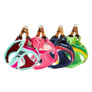 [hbO pXe{[_[\tgn[lXS-O[ PBSH-S-GR