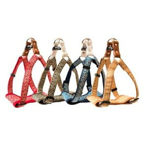 [hbO J^\tgn[lXM -I[u KRKS-M-OL