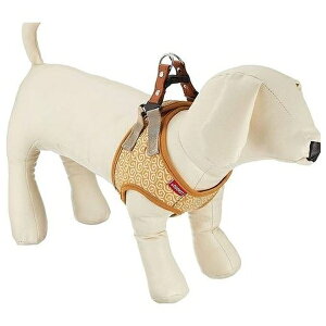 [hbO \tgn[lXSM -CG[ KRSH-SM-YL