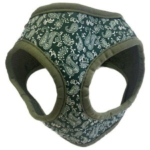 [hbO yCY[\tgn[lX SSO[