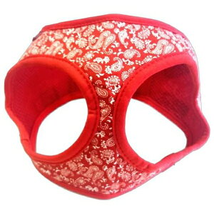 [hbO yCY[\tgn[lX Sbh