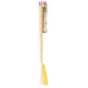 ybc[g ӂ̂TOY rbO`X | ӂ̂TOY  `X  [v ybgpi  p  ̂ ^p