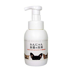 FLF ɂH̐ 300ml | p H ɂH̐ kk ʂ߂  ybgp H NG_ VR t[h{E a qpi L Lp H 