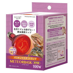 }J eIoXNԊO100W g[ h΍  | oXLOX|bgv ԊO ঒ v REPSi eIoXN ঒ޗpv M ঒ގ oXLOCg 