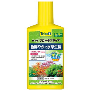 XyNg uY Wp T134egt[vCh250cc