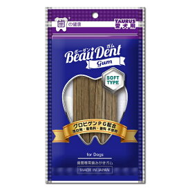 ◇トーラス ボーダンガムSOFTTYPE35g