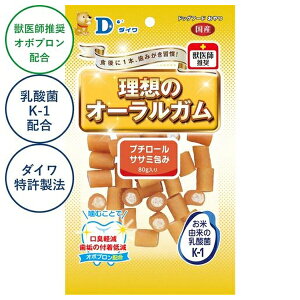 _C Vv`[TT~ 80g | I[K TT~ _C pK z̃I[K v`[  ybgt[h Y H@ {  _ K  