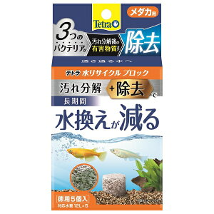 XyNg uY Wp 76138egTCNubN_Jpp5