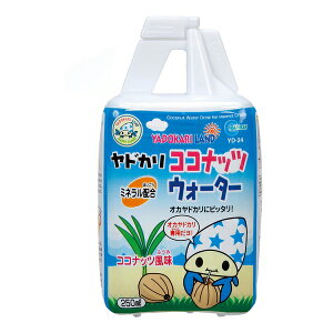 }J YD-24hJRRibcEH[^[250ml | RRibcEH[^[ hJt[h IJhJ GT a }J ybgt[h ⋋ ~l⋋ EH[^[ IJhJp