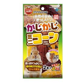 ◇マルカン MR-785かじかじミニコーン2本+おまけ1本 | マルカン 小動物おやつ コーン おやつ かじり木 うさぎ モルモット チンチラ ハムスター デグー プレイリードッグ 硬いおやつ かじり木代わり かじるおもちゃ ストレス解消 動物用おやつ ペットおやつ