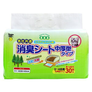 X[p[Lbg VXegCpLV[g^^Cv3-4p 30