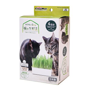 hM[}nV ňĂL̐4 | L ͔|Lbg LeB[} hM[} ybgOX  G z _ S Y ňĂ L̑ Lp ͔|