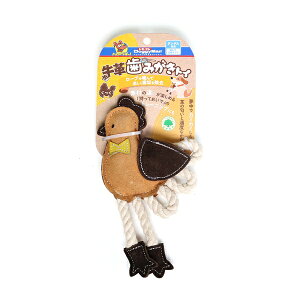 hM[}nV v݂gC | hM[} v ݂gC   ފߋ ybgp ^p vgC Rbg[v ɂƂ^ v ݂