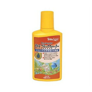 XyNguYWp T121egubNEH[^[ 250cc