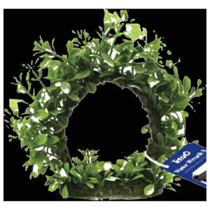 XyNguYWp #76660 eg EH[^[[X S | Ϗ܋ pi    eg fR[V lH [X^ ȒPݒu ANAE 