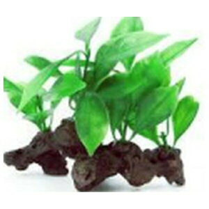 ݌ɌŔpԁXyNguYWp #76665 eg Ebhvg WP-1 | eg lH ANAE Mы  _J   ANZT[  fBXvC CAEg