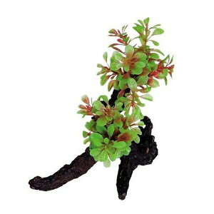 ݌ɌŔpԁXyNguYWp #76666 eg Ebhvg WP-2 | eg lH Mы ANAE  CAEg Ƌ   _J egEbhvg AN