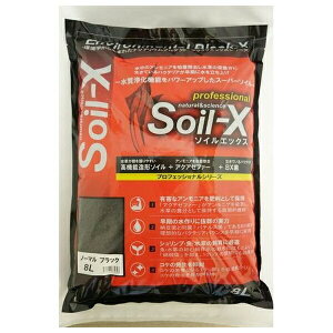 B-blast \CGbNX m[} ubN 8L | B-blast \CGbNX ANAE ꍻ ubN  AjAz  Gr 琬 f @\ VR\C oN