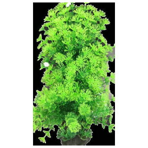 XyNguYWp eg tLVuvg FP-7 | eg lH tLVuvg  ANZT[ Jt N₩  fR[V p vX`bN 