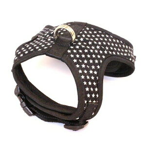 [hbO GXEFAn[lXSS/N SWH-SS/BK | n[lX p GXEFA iC  ^ \tgNbV pi   ybgp  o 킢 y 