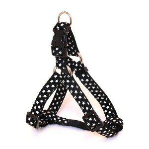 [hbO ACJ^n[lXM/N IKH-M/BK | ACJ^n[lX p ^p n[lX ubN LEADOG   ^b`obN \ pi ObY ؖ iC